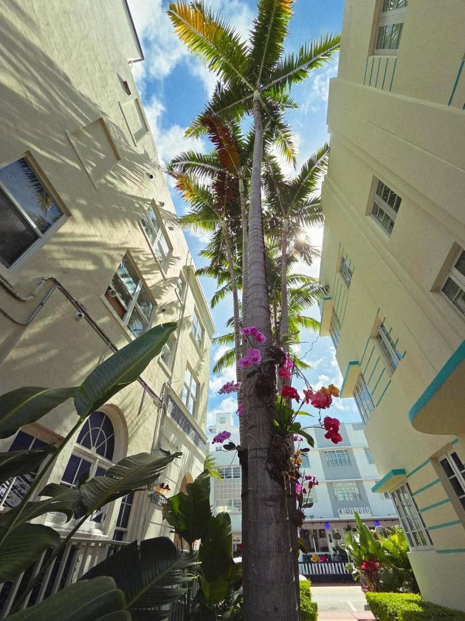 ميامي بيتش Luxuri Suites المظهر الخارجي الصورة